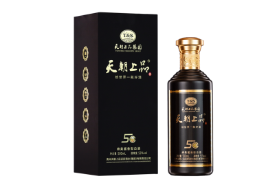 商務5G（黑色）