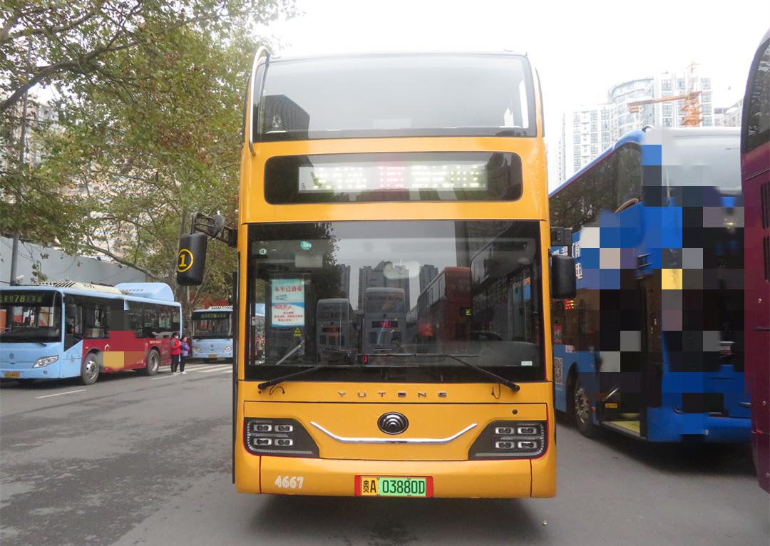 1637546161616929.jpg 1637546161616929.jpg